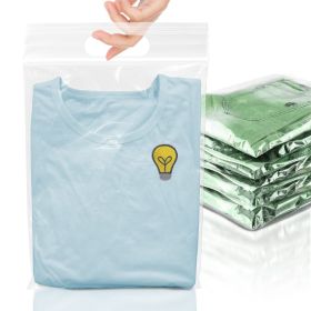 Clear LDPE Zipper Bags with Die-Cut Handles (9x12+3in Lip) - 100 Pack